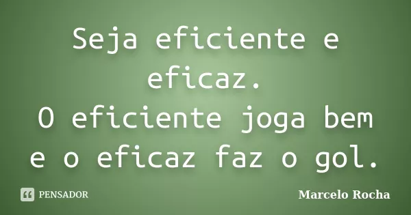 eficiência, eficácia, produtividade e competitividade